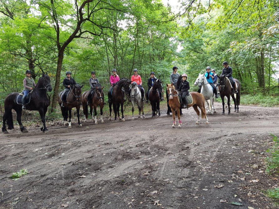 Rijvereniging de Maresca Ruiters Maarheeze